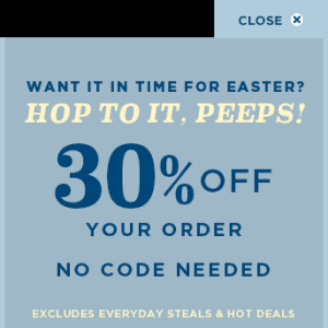 Old Navy 30%OFF