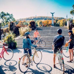 在蒙城骑车如何避免吃罚单