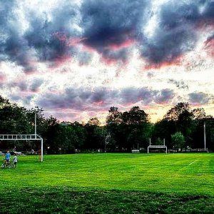 蒙特利尔最好的10个足球场