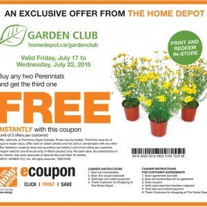 Home Depot 任何多年生植物花草买二送一