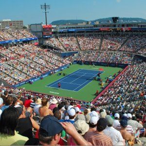 蒙特利尔8月3日至8月9日精彩活动