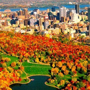 清凉9月蒙特利尔免费活动