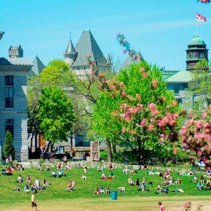 2015/16年QS世界大学排名 麦吉尔加国第一 清华压倒多伦多大学