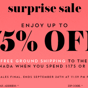 Kate Spade 惊喜特卖会 2.5折