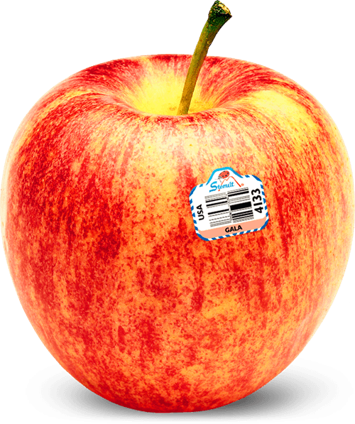 蒙城金秋摘苹果季 教你学吃7种不同的苹果