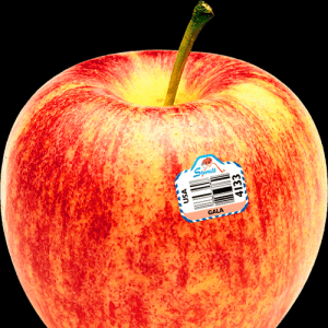 蒙城金秋摘苹果季 教你学吃7种不同的苹果