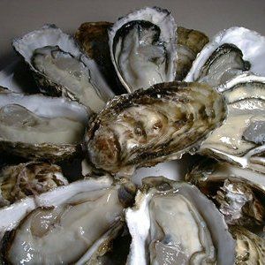 蒙特利尔吃1元生蚝的5个餐馆