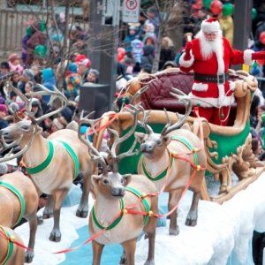 蒙特利尔11月免费活动大搜集！！！