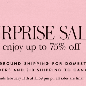 2.5折起清仓！Kate Spade72小时惊喜特卖