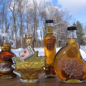 魁北克人有口福！魁北克特产让你远离老年痴呆！