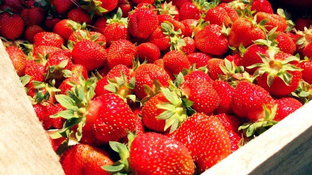 蒙特利尔周边10个草莓采摘农场