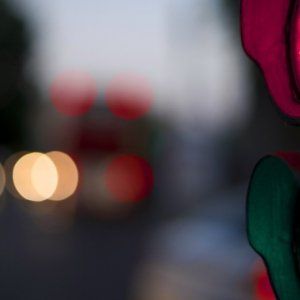 这些交通法规只在魁省存在