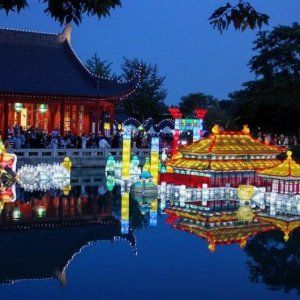 蒙特利尔植物园第五届灯光节