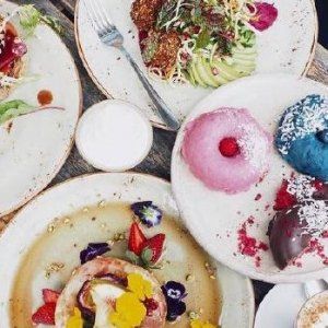 蒙特利尔素食节 众多免费品尝等你来