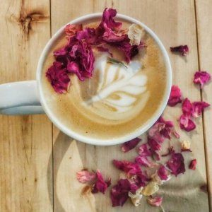 蒙特利尔这家咖啡馆登上了纽约时报