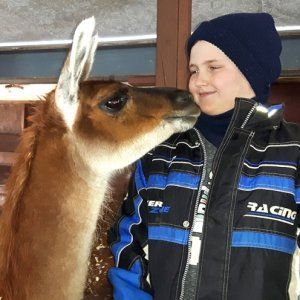 可以和骆驼玩亲亲游戏的农场开放了