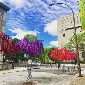 蒙特利尔McCord博物馆六月免费参观