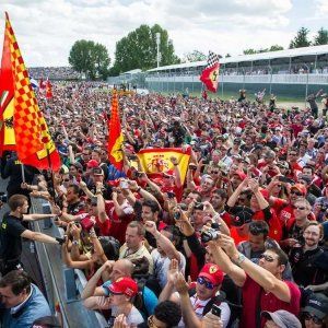 本周末（6月10日-11日）精彩活动