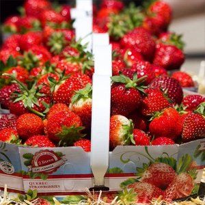 蒙特利尔周边12个最佳草莓采摘农场