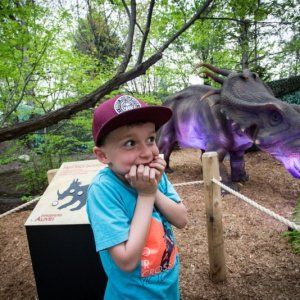 Granby动物园的21只恐龙开始动了！