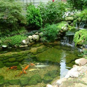 Home Depot七月免费工作作坊