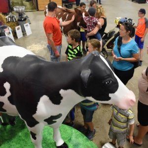 亲子游好去处 蒙特利尔南岸大型动物博览会