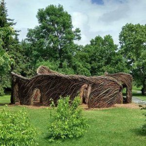 蒙特利尔第一个树根迷宫