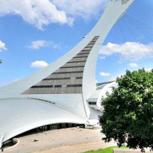 蒙特利尔奥林匹克体育馆举办城市露营之夜