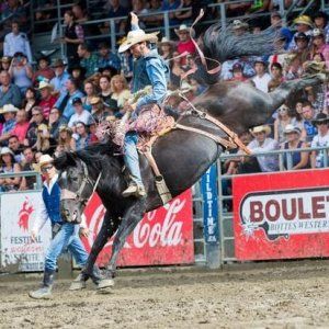 蒙特利尔老港牛仔竞技表演