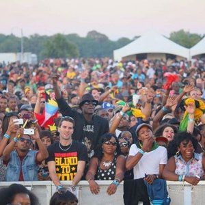 蒙特利尔第十四届雷鬼音乐节