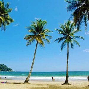 蒙特利尔特立尼达美食节