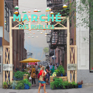 蒙特利尔市中心新开农贸市场