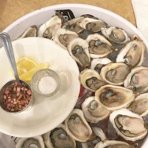 蒙特利尔老港生蚝美食节