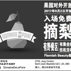 周末去蒙特利尔南岸摘梨