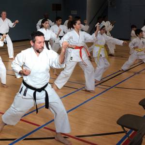 蒙特利尔NDG的这个社区中心 课程便宜多样