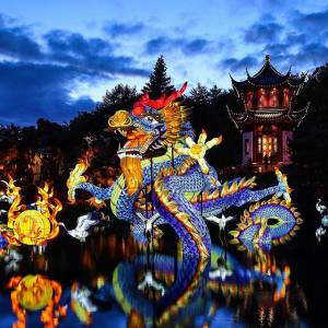 来欣赏一下蒙特利尔植物园今年的霸气彩灯吧！