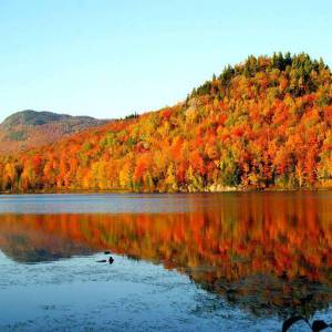 必须收藏！蒙特利尔附近最美的8条赏枫路线