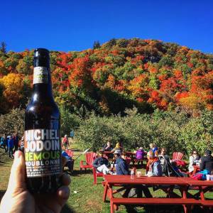 秋季一日游应该这么玩：赏枫，品酒，摘苹果