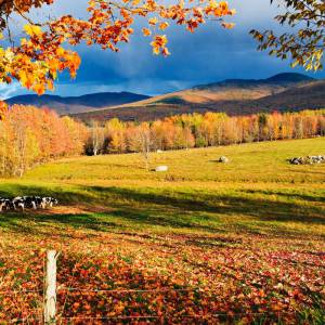 相机准备好了吗？蒙特利尔旁的秋日赏枫节已经开始了