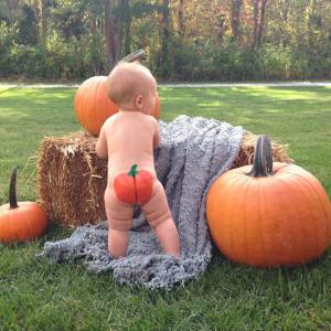 蒙特利尔旁十个摘南瓜的好地方