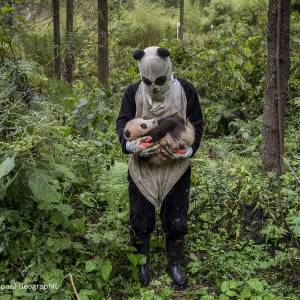 摄影爱好者看过来！老港正在举办世界新闻摄影比赛展览