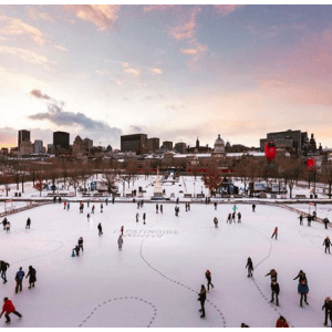 蒙特利尔最美的冬季溜冰场就要开放了！