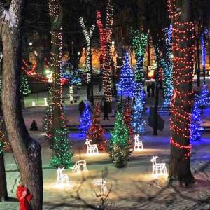 蒙特利尔旁的圣诞树灯光展