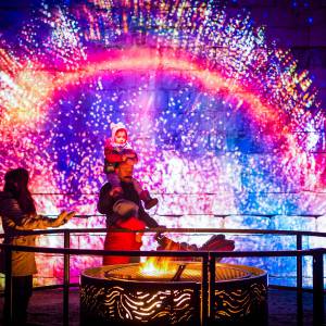 美呆了！蒙特利尔旁的冬季奇幻互动投影展