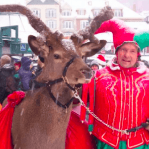 圣诞老人最爱的驯鹿鲁道夫要来蒙特利尔了
