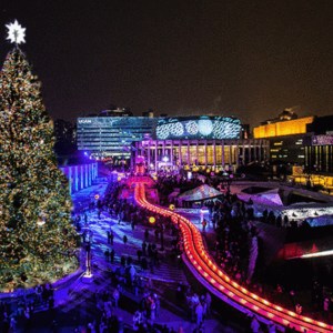 不许笑！蒙特利尔又要立一棵超大的圣诞树了