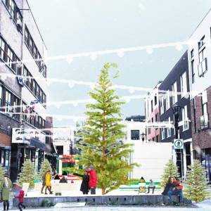 蒙特利尔首创：有点丑的圣诞树节