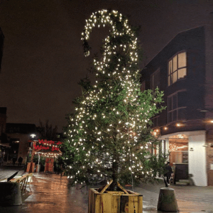 又被骗了！来欣赏下蒙特利尔今年这棵最丑的圣诞树吧
