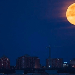 相机备好！超级月亮即将璀璨蒙特利尔夜空