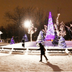 皇家山上的溜冰场本周起免费开放